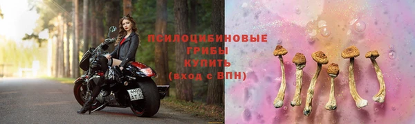 спиды Медвежьегорск