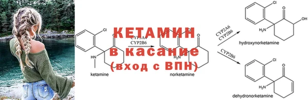 спиды Медвежьегорск