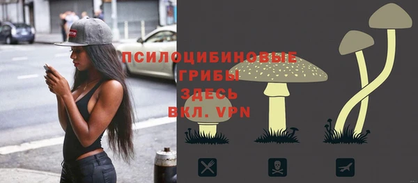 спиды Медвежьегорск